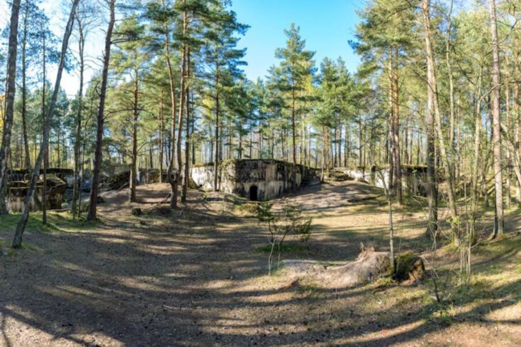 Mangalsala With Sauna Будинок відпочинку
